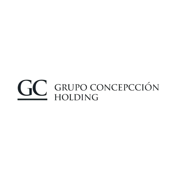 Grupo Concepción Holding